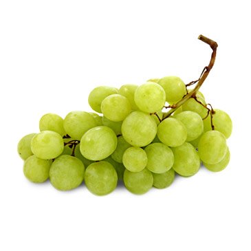 bunch of lacrosse grapes