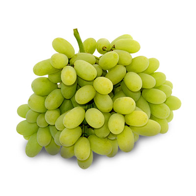 bunch of vignoles grapes