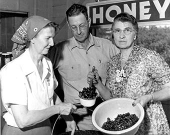 three people with berries
