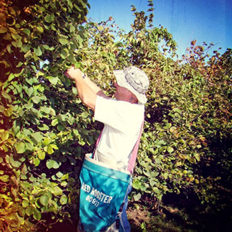 man standing among trees