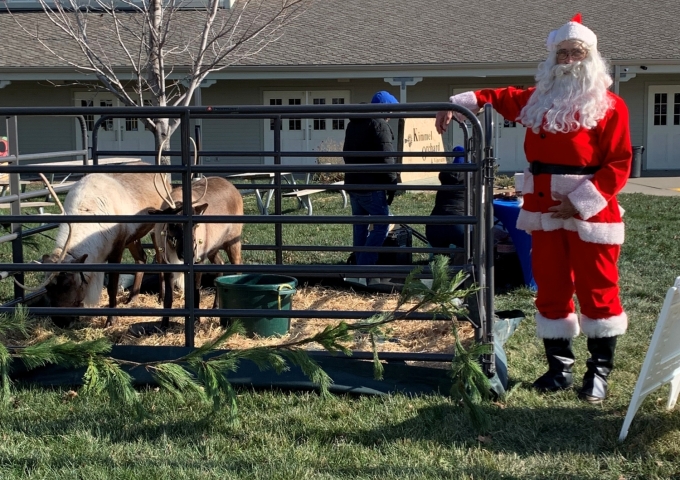 santa and reindeer